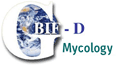 To GBIF-Mycology